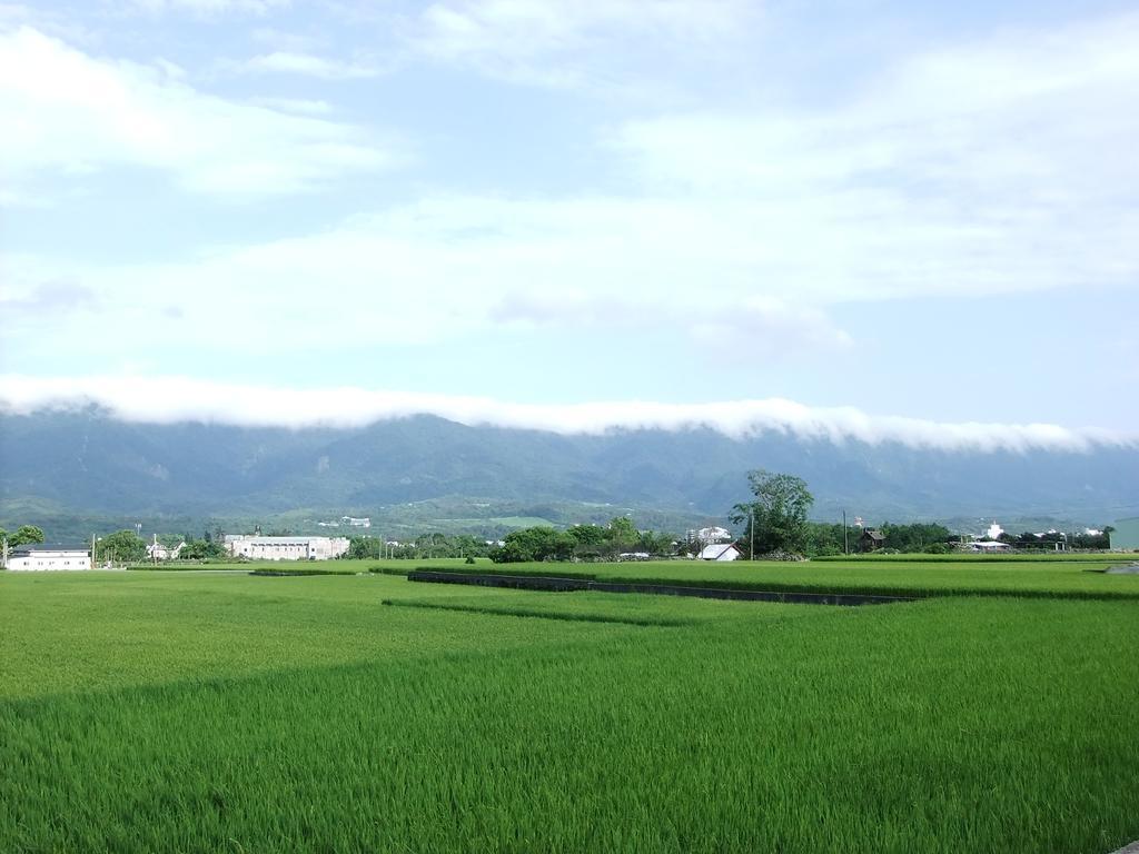 池上福吉園素食民宿 臺東縣民宿073號 請勿透過阿勾達訂房 Dış mekan fotoğraf